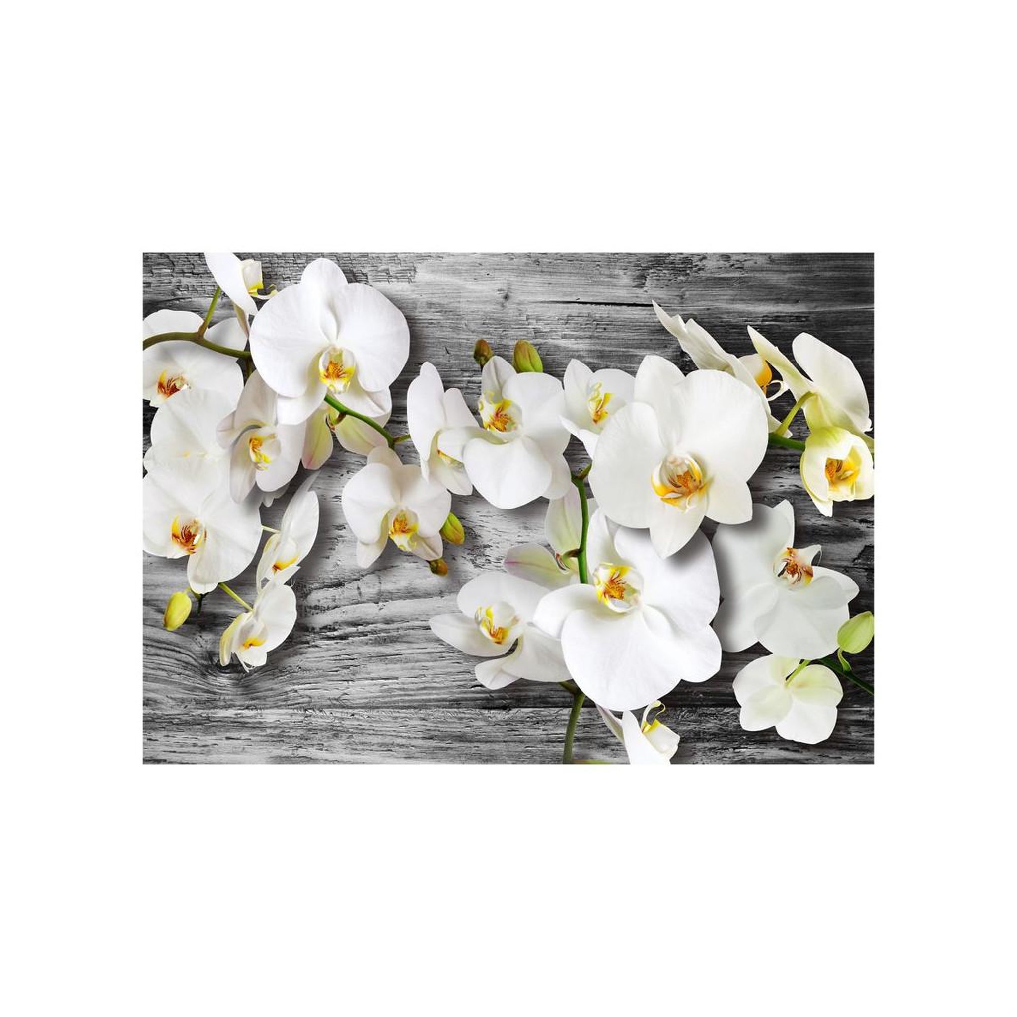 Voir la diapositive 2 : Paris Prix Papier peint  callous orchids iii