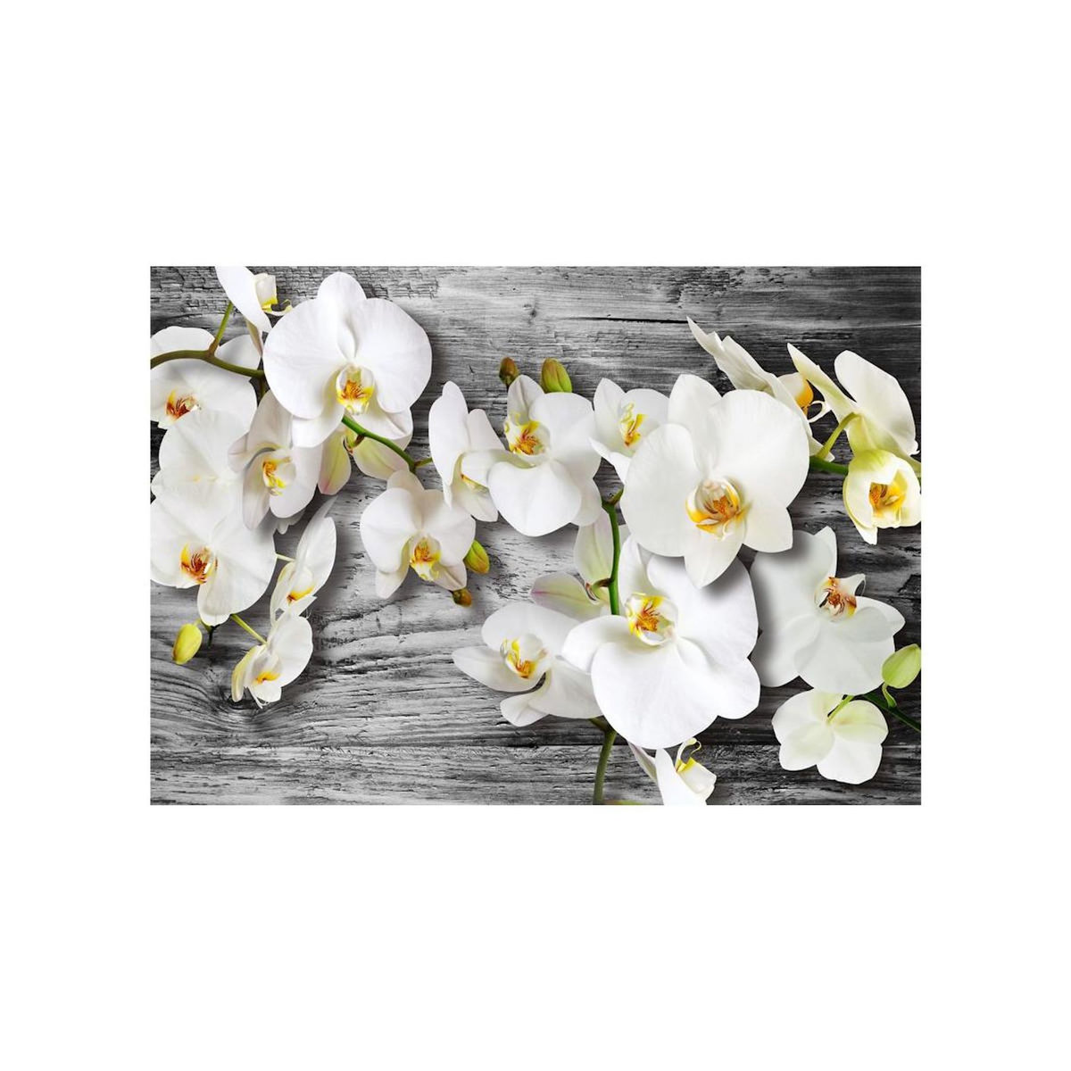Paris Prix Papier Peint  Callous Orchids III