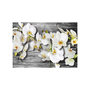 Voir la diapositive 2 : Paris Prix Papier Peint  Callous Orchids III