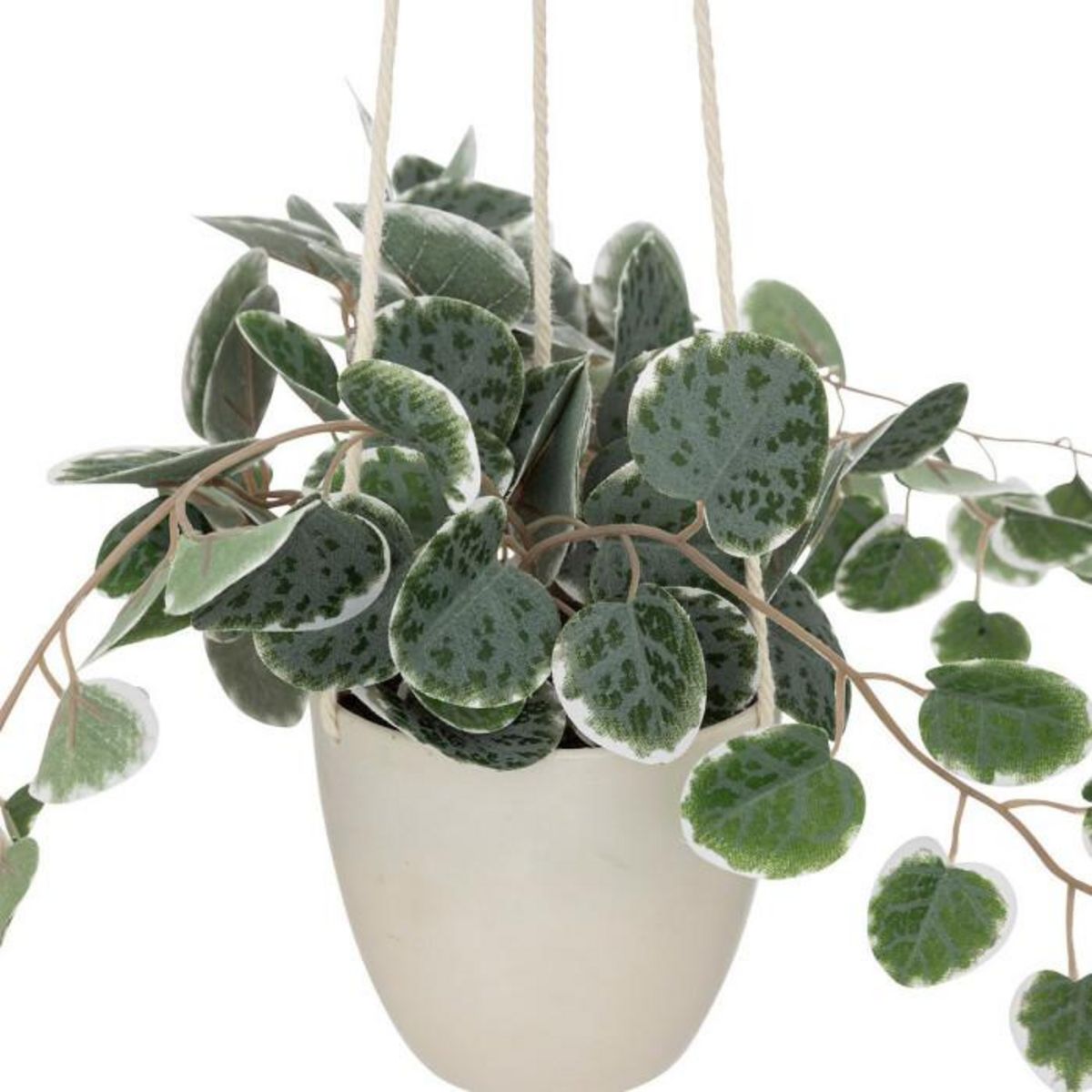 ATMOSPHERA Plante Suspendue en Pot  Lour  80cm Blanc & Vert