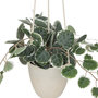 Voir la diapositive 2 : ATMOSPHERA Plante Suspendue en Pot  Lour  80cm Blanc & Vert