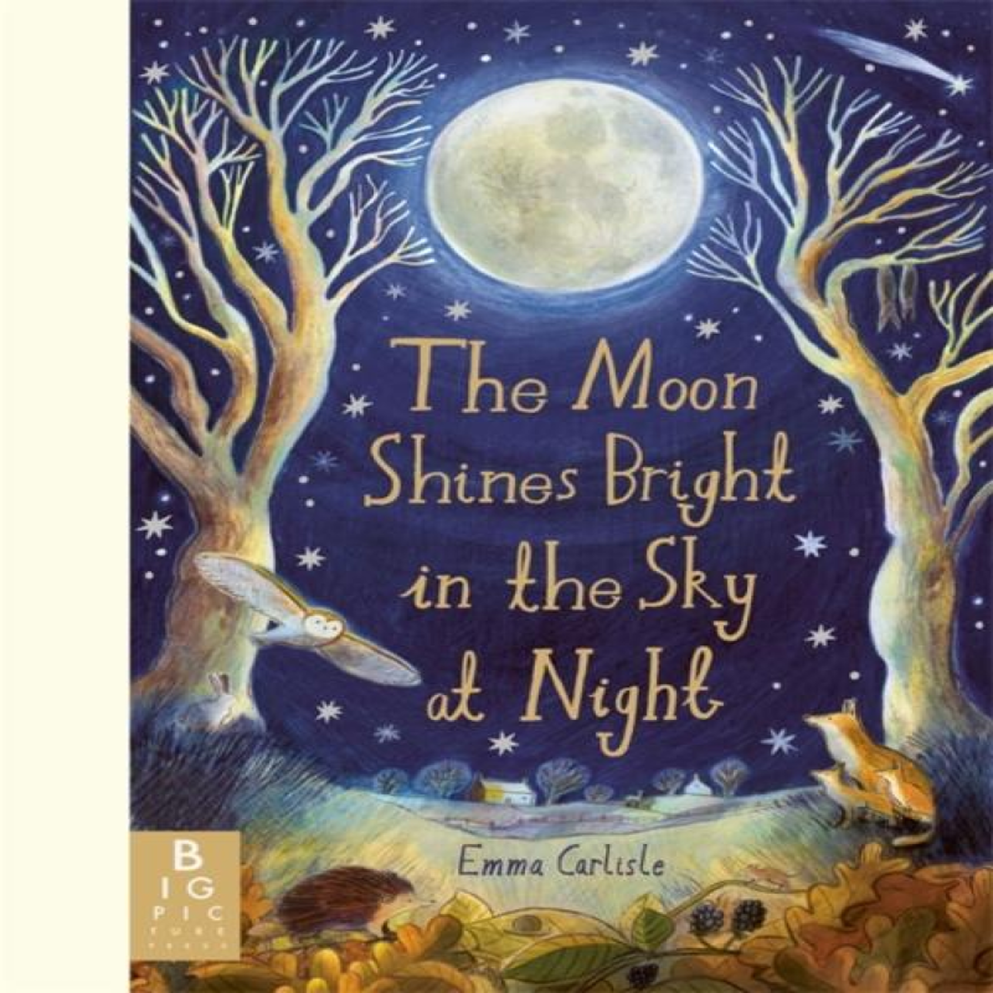 LIVRES The Moon Shines Bright in the Sky at Night : A beautifully illustrated bedtime story filled with comfort, calm and the magic of nighttime