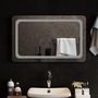 Voir la diapositive 3 : VIDAXL Miroir de salle de bain a LED 80x50 cm