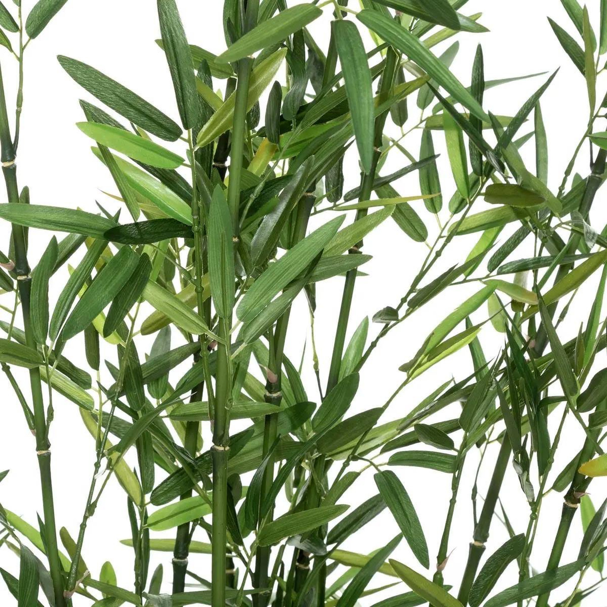 Voir la diapositive 2 : ATMOSPHERA Plante artificielle en pot  bambou  183cm vert & noir