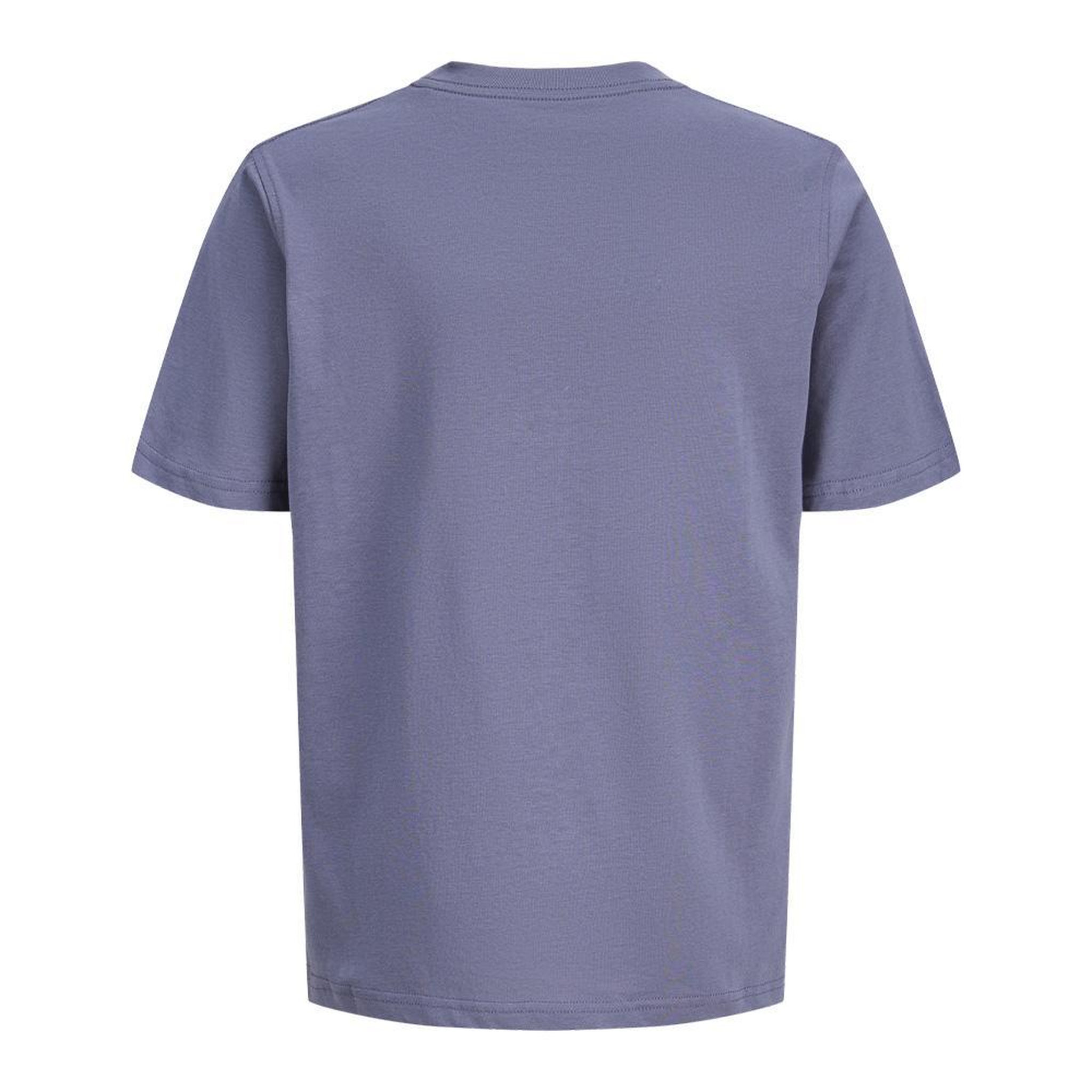 Voir la diapositive 2 : Jack & Jones T-Shirt Mauve Garçon Jack & Jones Frederiks