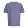 Voir la diapositive 2 : Jack & Jones T Shirt Mauve Garçon Jack & Jones Frederiks