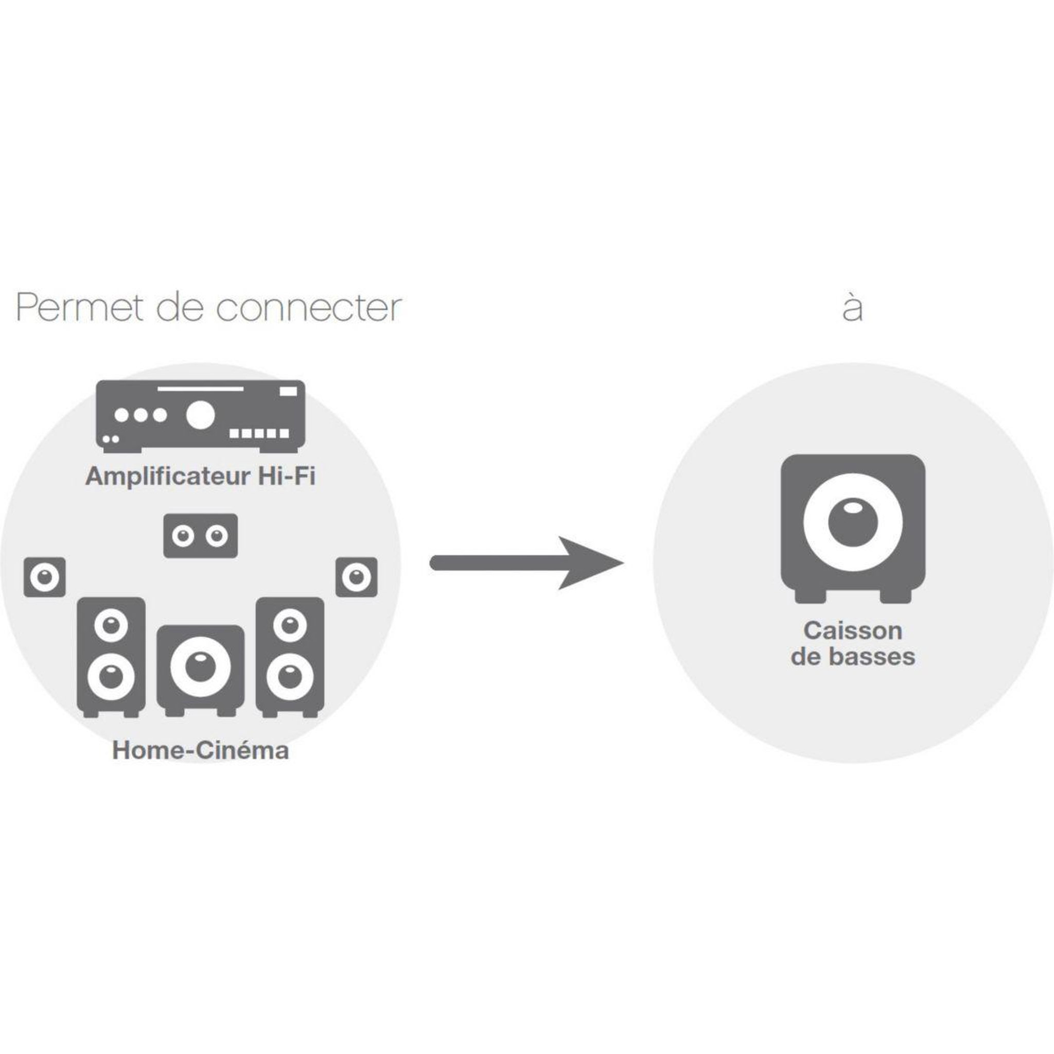 Voir la diapositive 4 : ESSENTIEL B Câble subwoofer 5m - ecp
