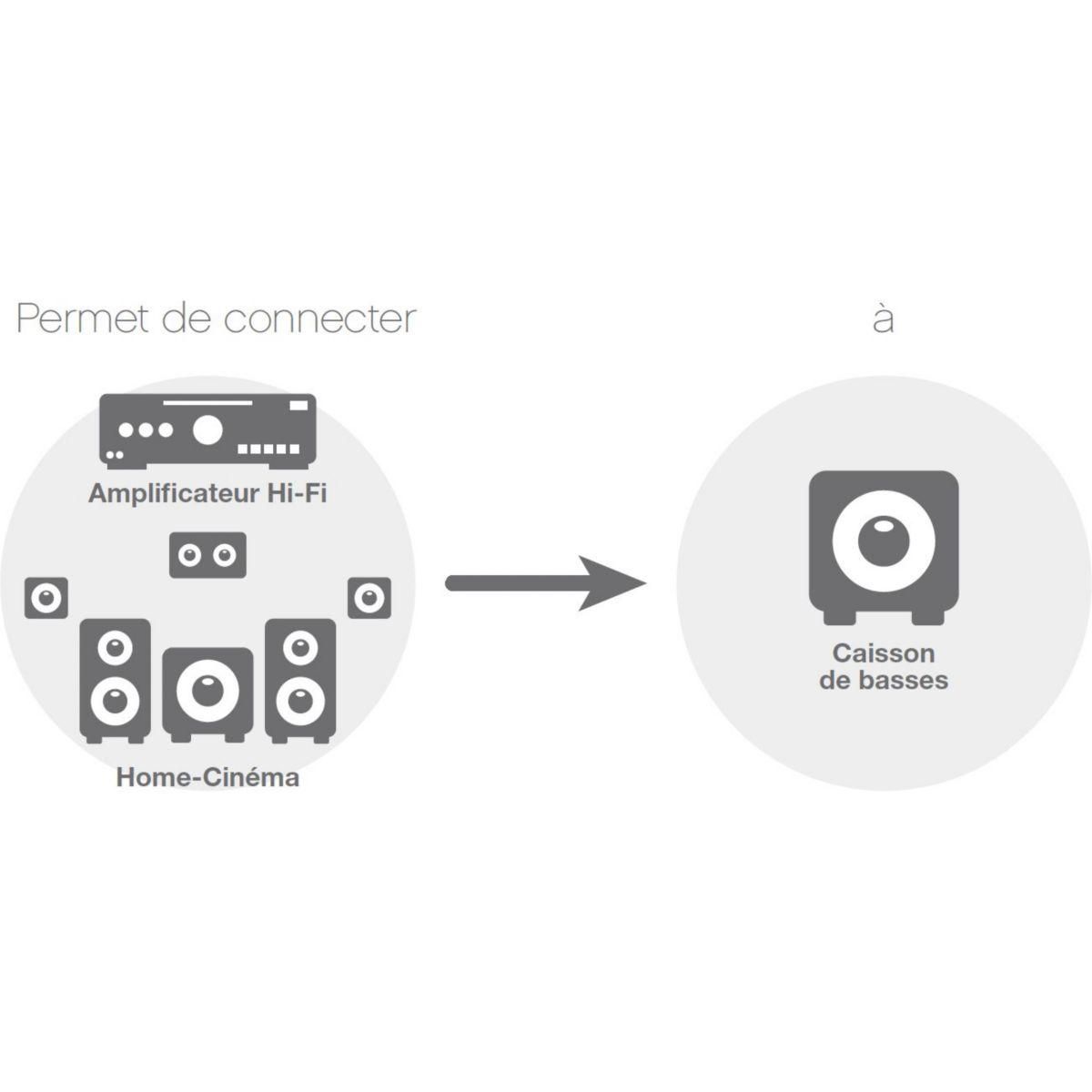 ESSENTIEL B Câble subwoofer 5M - ecp