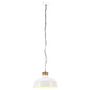 Voir la diapositive 2 : VIDAXL Lampe suspendue industrielle 58 cm Blanc E27