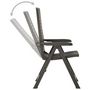 Voir la diapositive 5 : VIDAXL Chaises inclinables de jardin lot de 2 Plastique Anthracite