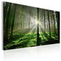 Voir la diapositive 1 : Paris Prix Tableau Imprimé  Emerald Forest II