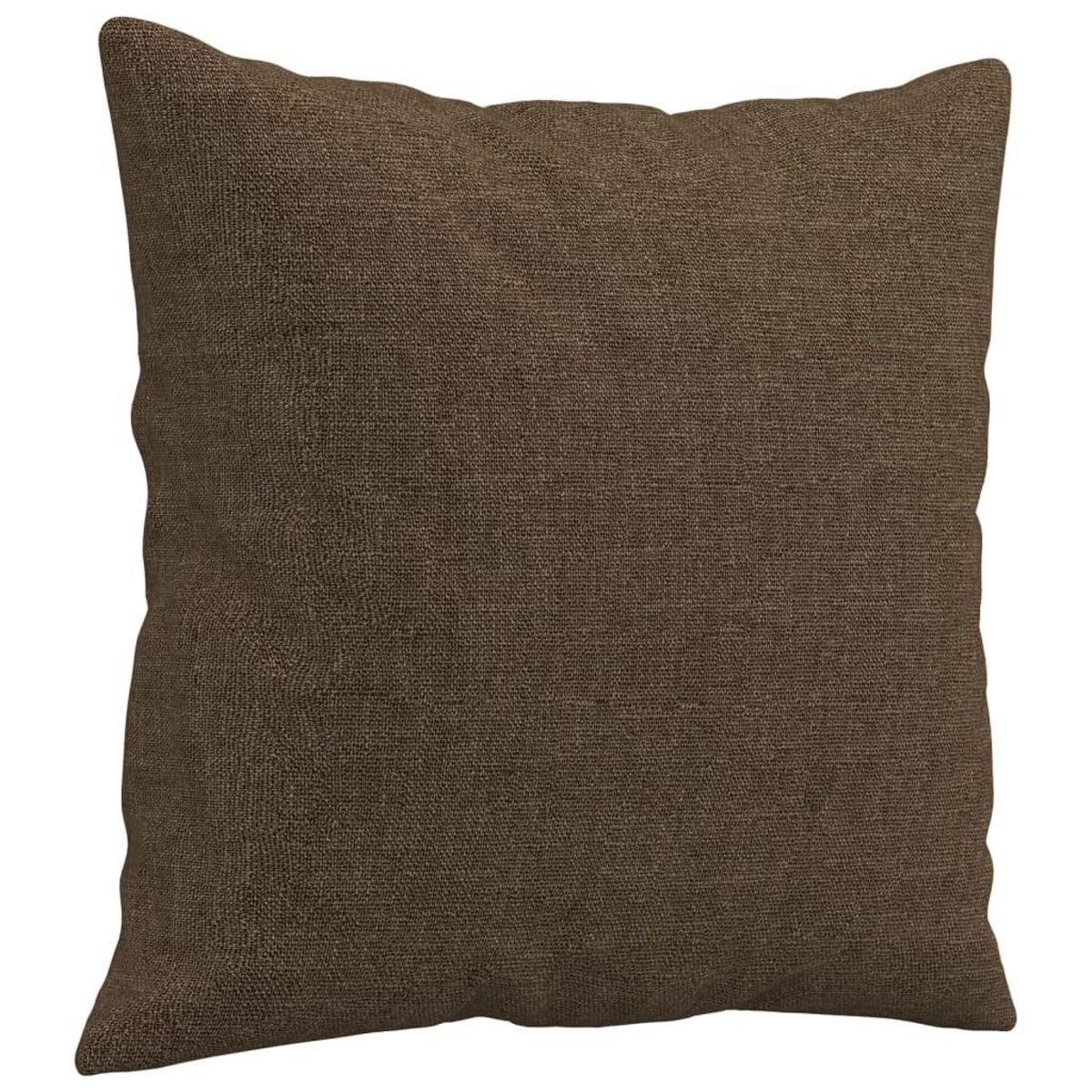 VIDAXL Coussins decoratifs lot de 2 Marron 40x40 cm Tissu