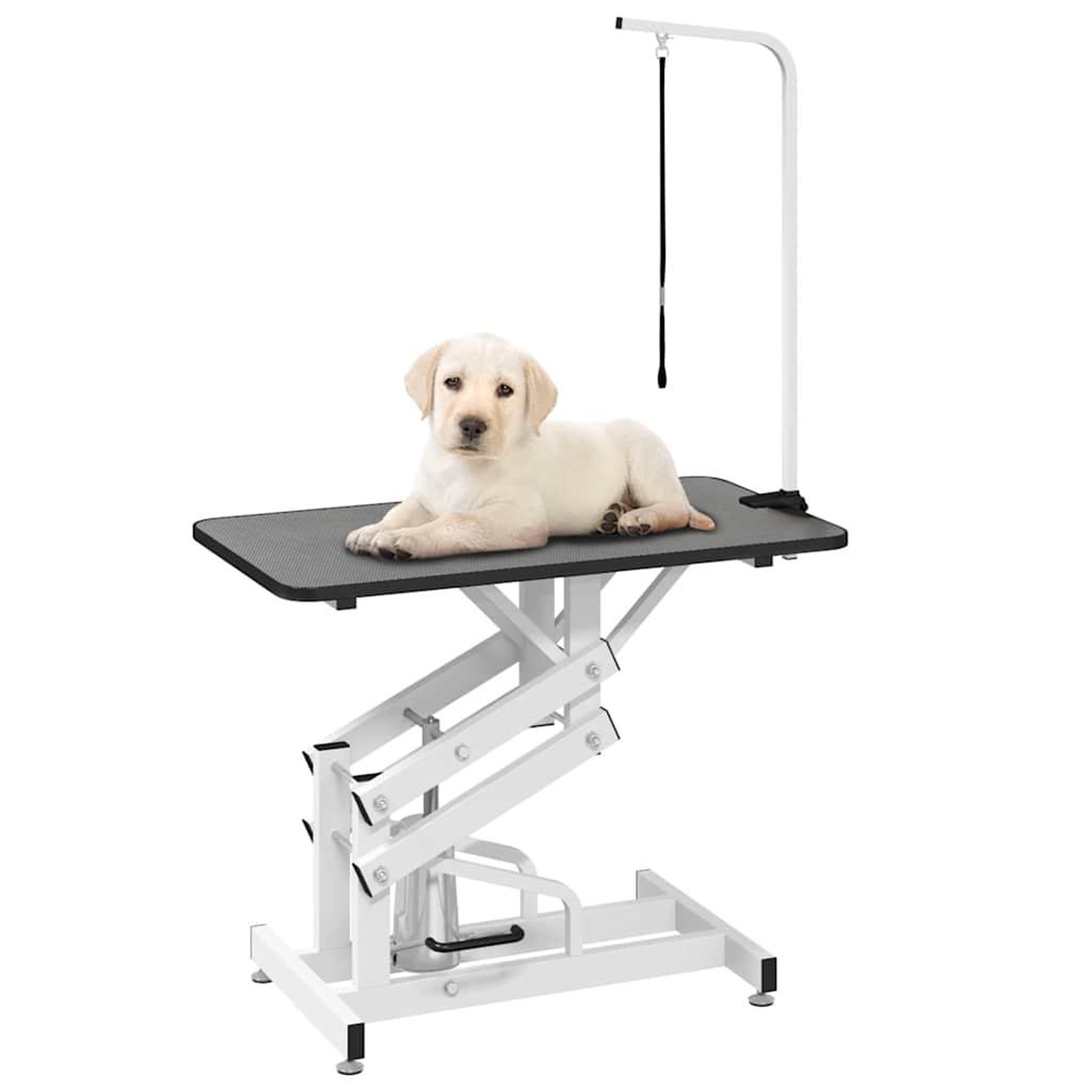 Voir la diapositive 3 : VIDAXL Table toilettage ajustable hydraulique pour chiens chats animaux