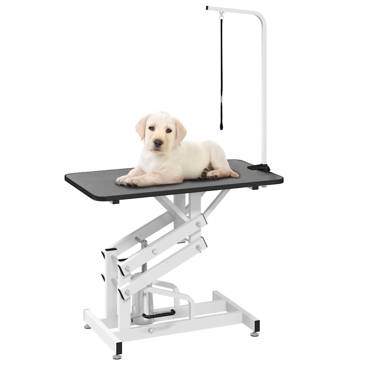 VIDAXL Table Toilettage Ajustable Hydraulique pour Chiens Chats Animaux