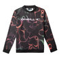 Voir la diapositive 1 : O'NEILL Sweat /Orange Garçon Garçon O'Neill Rutile