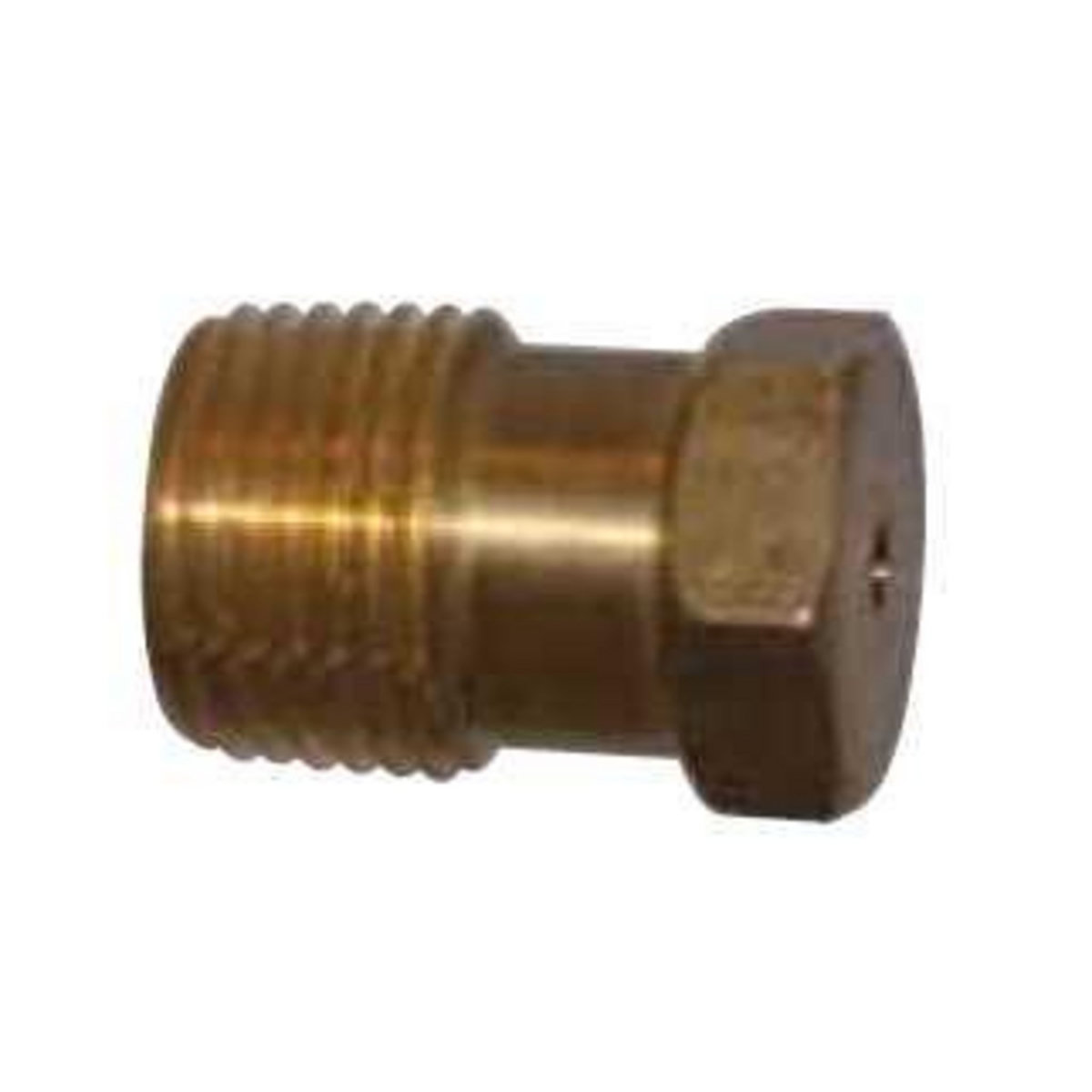 Toro Purge automatique Laiton 1/2