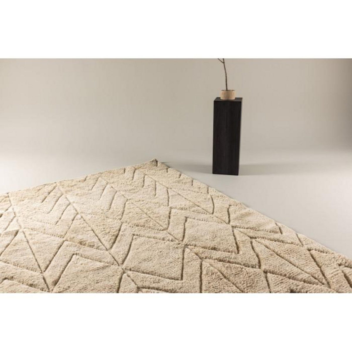 Paris Prix Tapis Déco en Laine  Zoe  160x230cm Beige