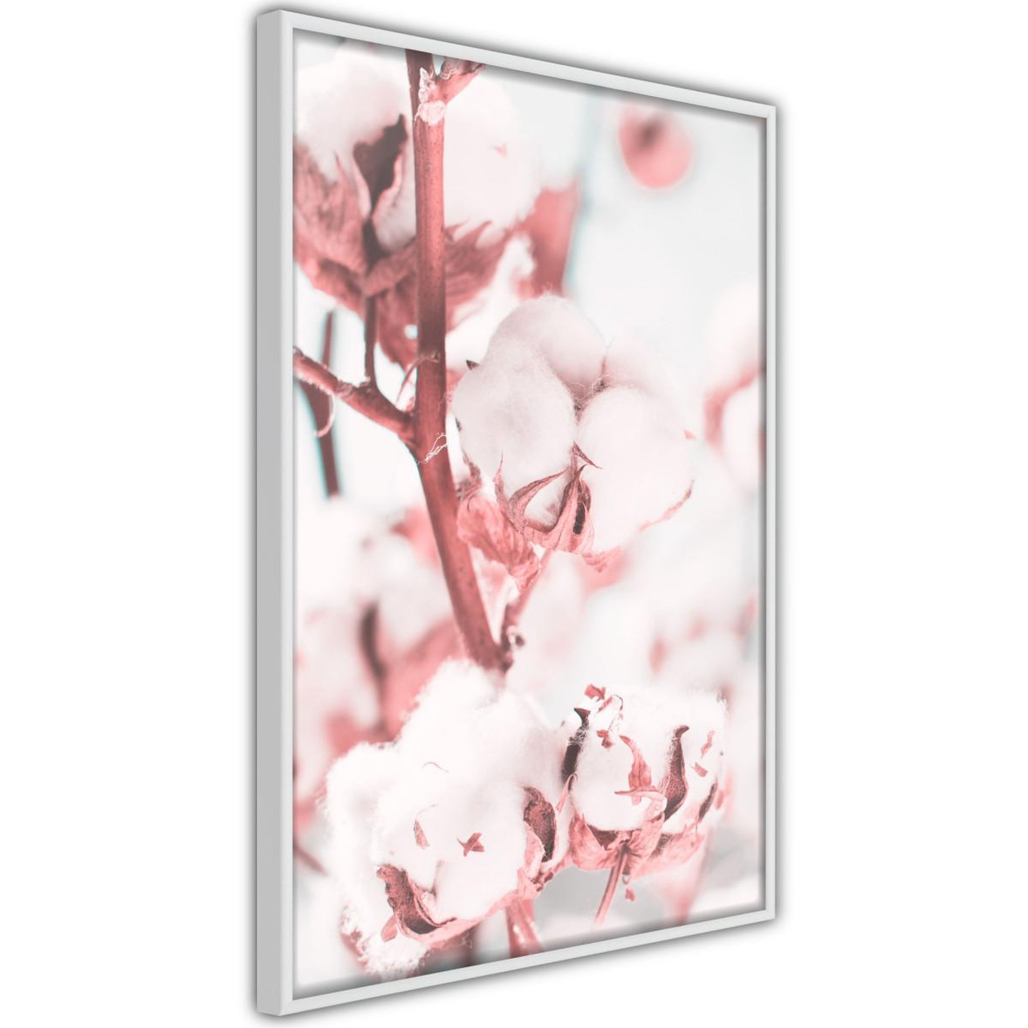 Paris Prix Affiche Murale Encadrée  Cotton Flowers