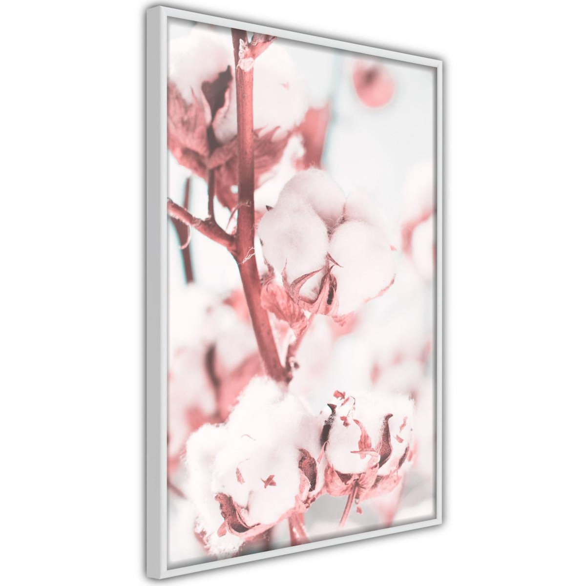 Paris Prix Affiche Murale Encadrée  Cotton Flowers