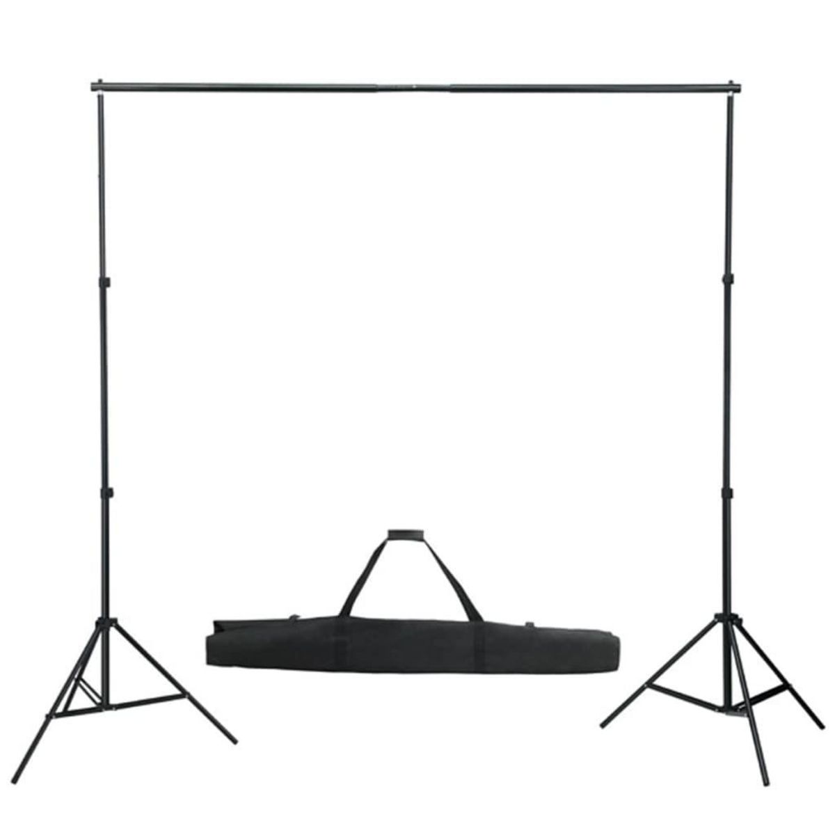VIDAXL Systeme de support de toile de fond de photo 600 x 300 cm Noir