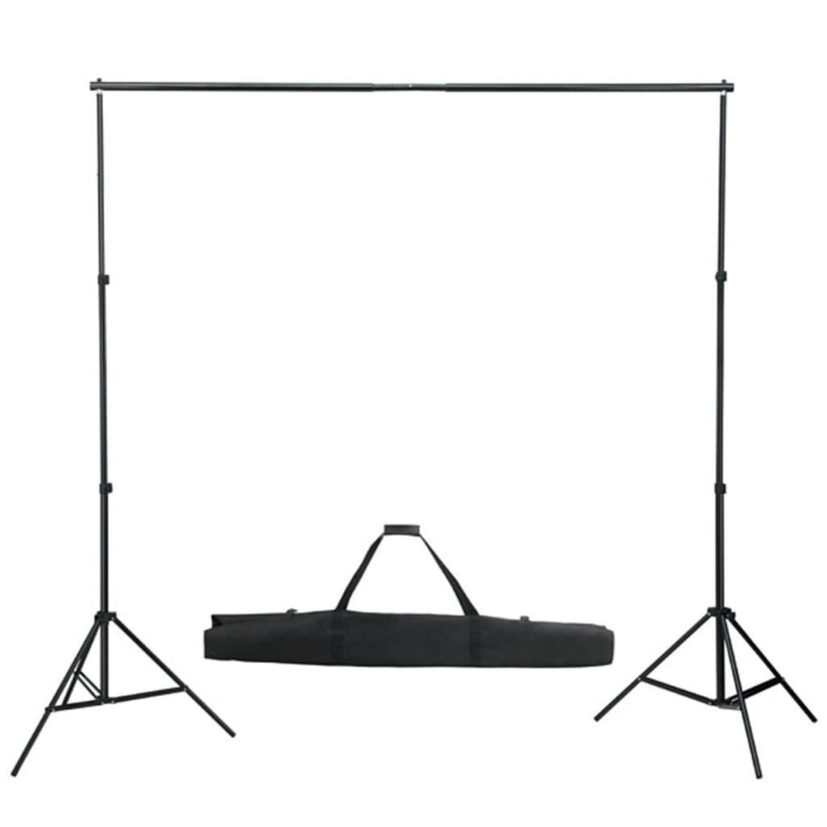 VIDAXL Systeme de support de toile de fond de photo 600 x 300 cm Noir