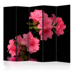 Paris Prix Paravent 5 Volets  Azalea in Black  172x225cm