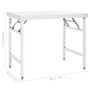 Voir la diapositive 6 : VIDAXL Table de travail pliable de cuisine 100x60x80 cm Inox