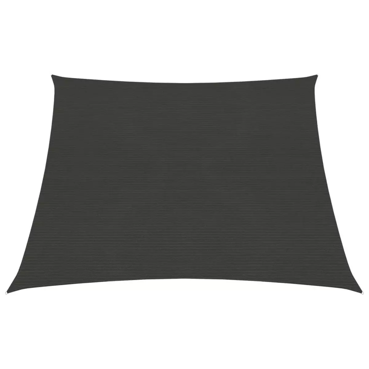 VIDAXL Voile d'ombrage 160 g/m^2 Anthracite 4/5x4 m PEHD