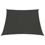 VIDAXL Voile d'ombrage 160 g/m^2 Anthracite 4/5x4 m PEHD