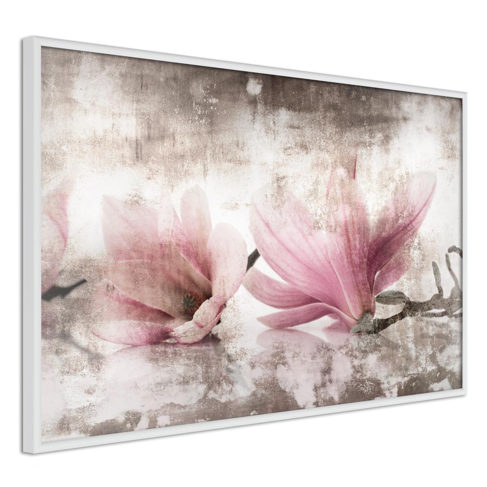 Paris Prix Affiche murale encadrée  picked magnolias