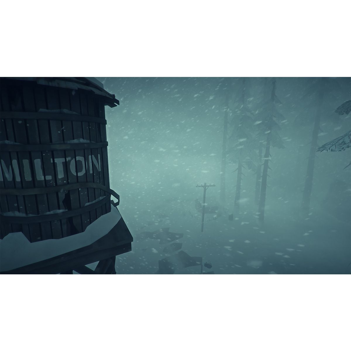 The Long Dark PS4