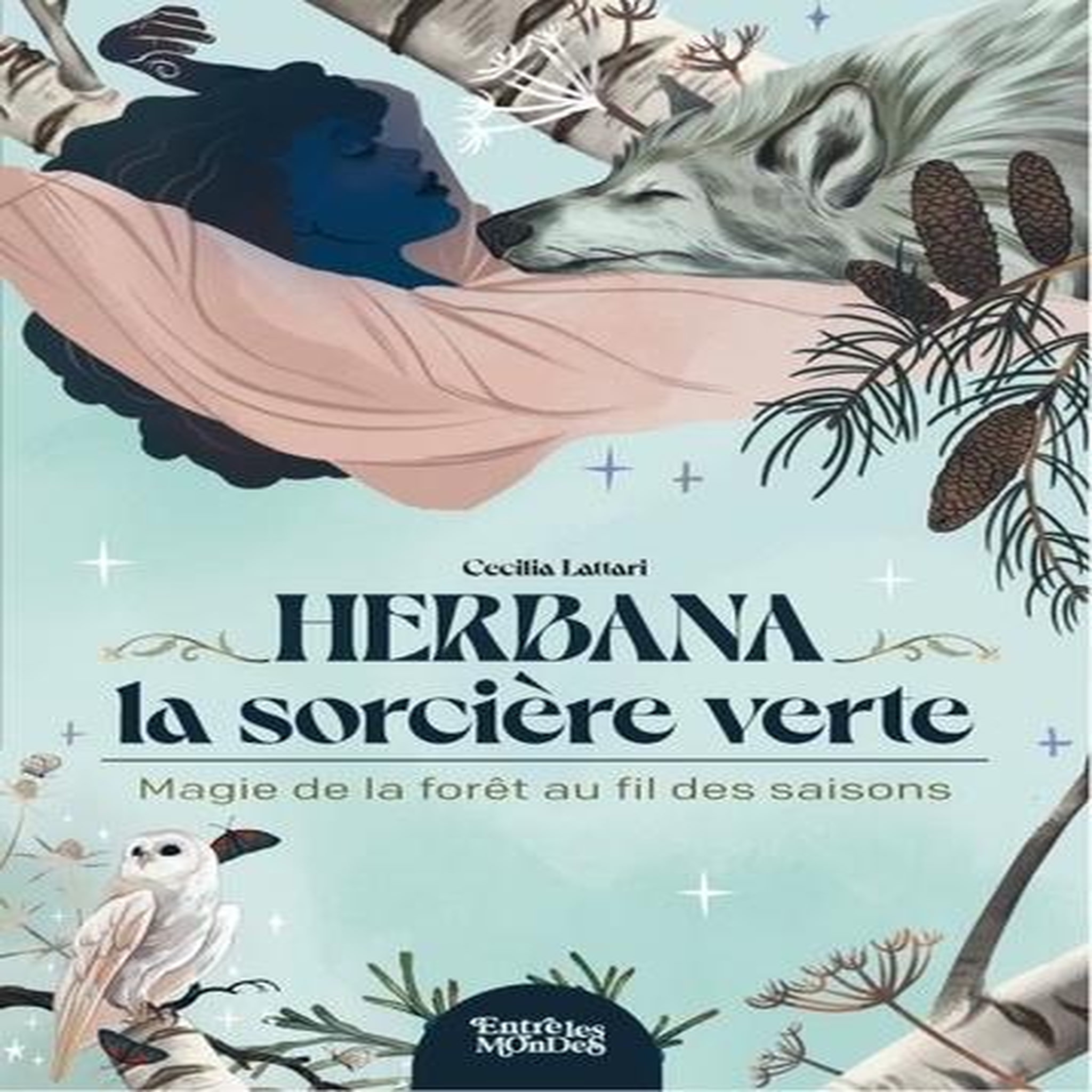 HERBANA, LA SORCIERE VERTE. MAGIE DE LA FORET AU FIL DES SAISONS, Lattari Cecilia