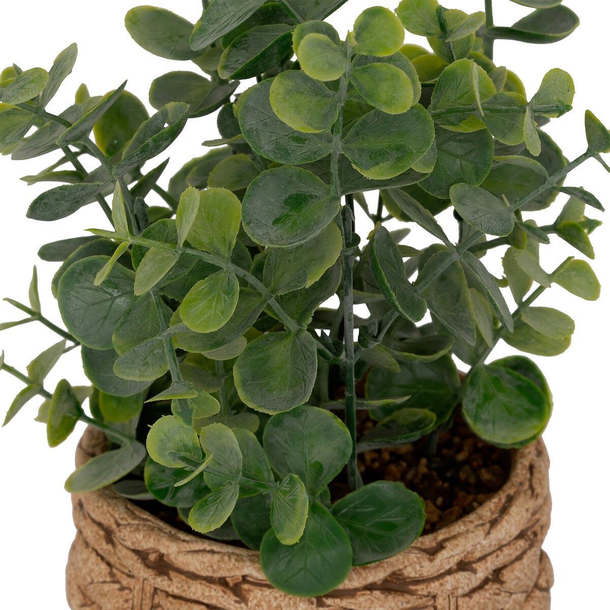 Voir la diapositive 2 : ATMOSPHERA Eucalyptus artificiel en pot  jaye  27cm vert