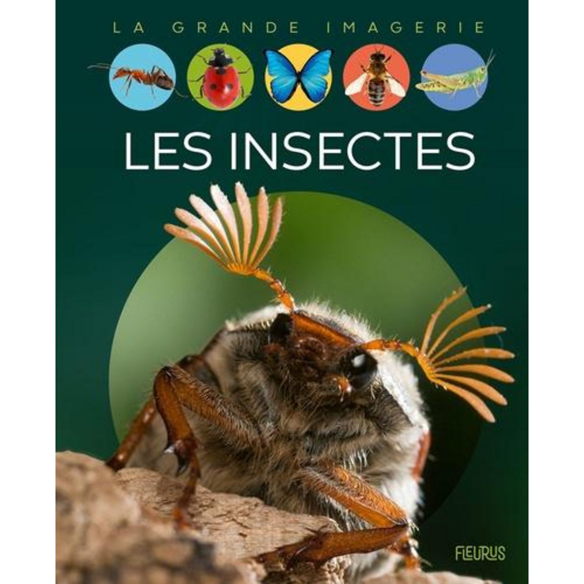 LES INSECTES, Beaumont Emilie