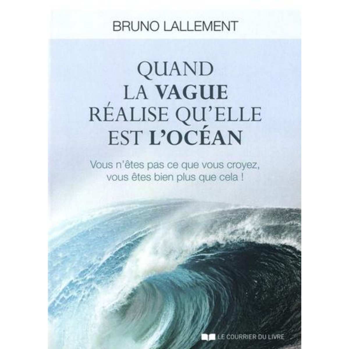 QUAND LA VAGUE REALISE QU'ELLE EST L'OCEAN. VOUS N'ETES PAS CE QUE VOUS CROYEZ, VOUS ETES BIEN PLUS QUE CELA !, Lallement Bruno