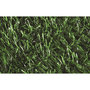 Voir la diapositive 2 : Haie artificielle DENSE 2 x 3 m