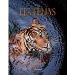 LES FELINS, Ménoret Eric