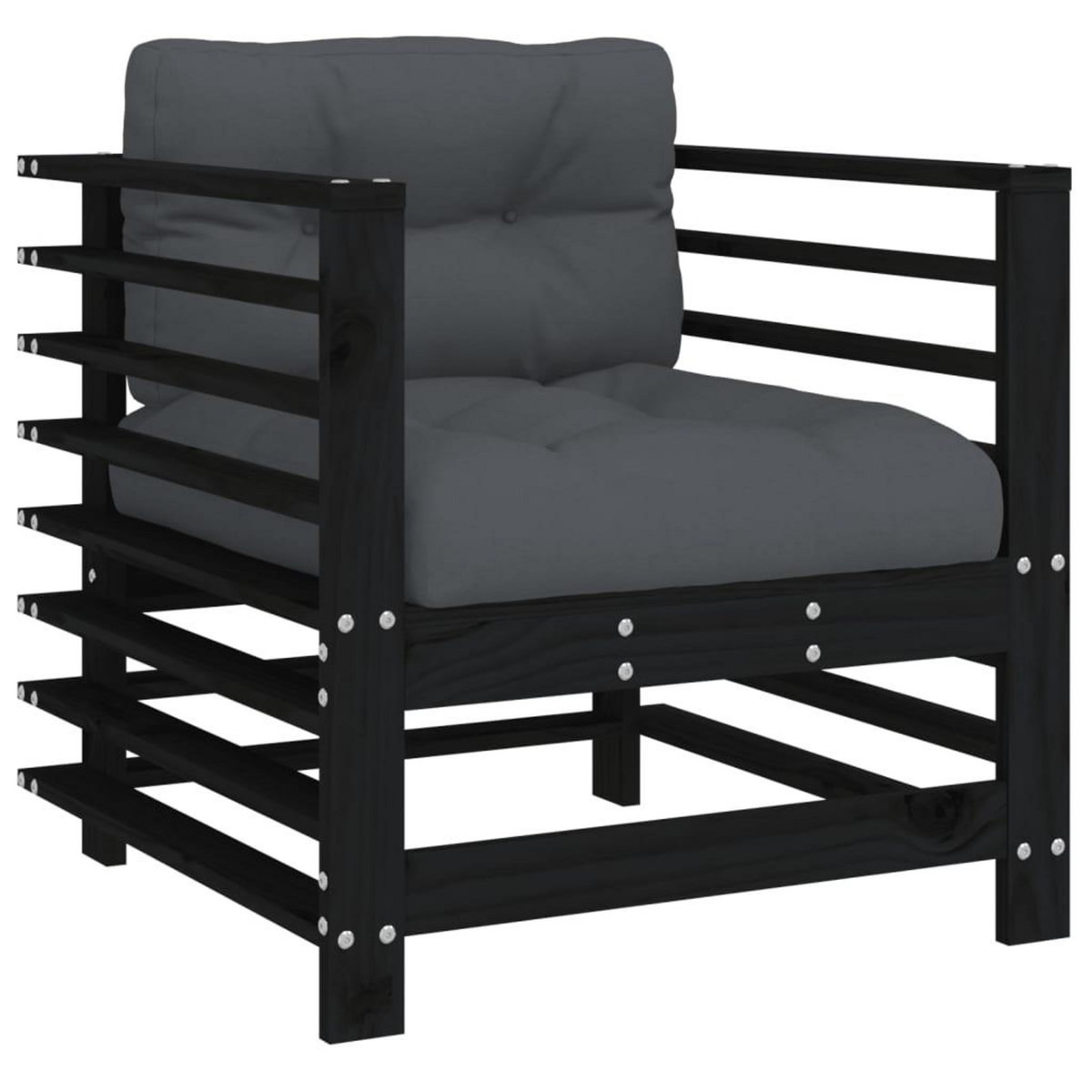 VIDAXL Chaises de jardin et coussins lot de 2 noir bois de pin massif
