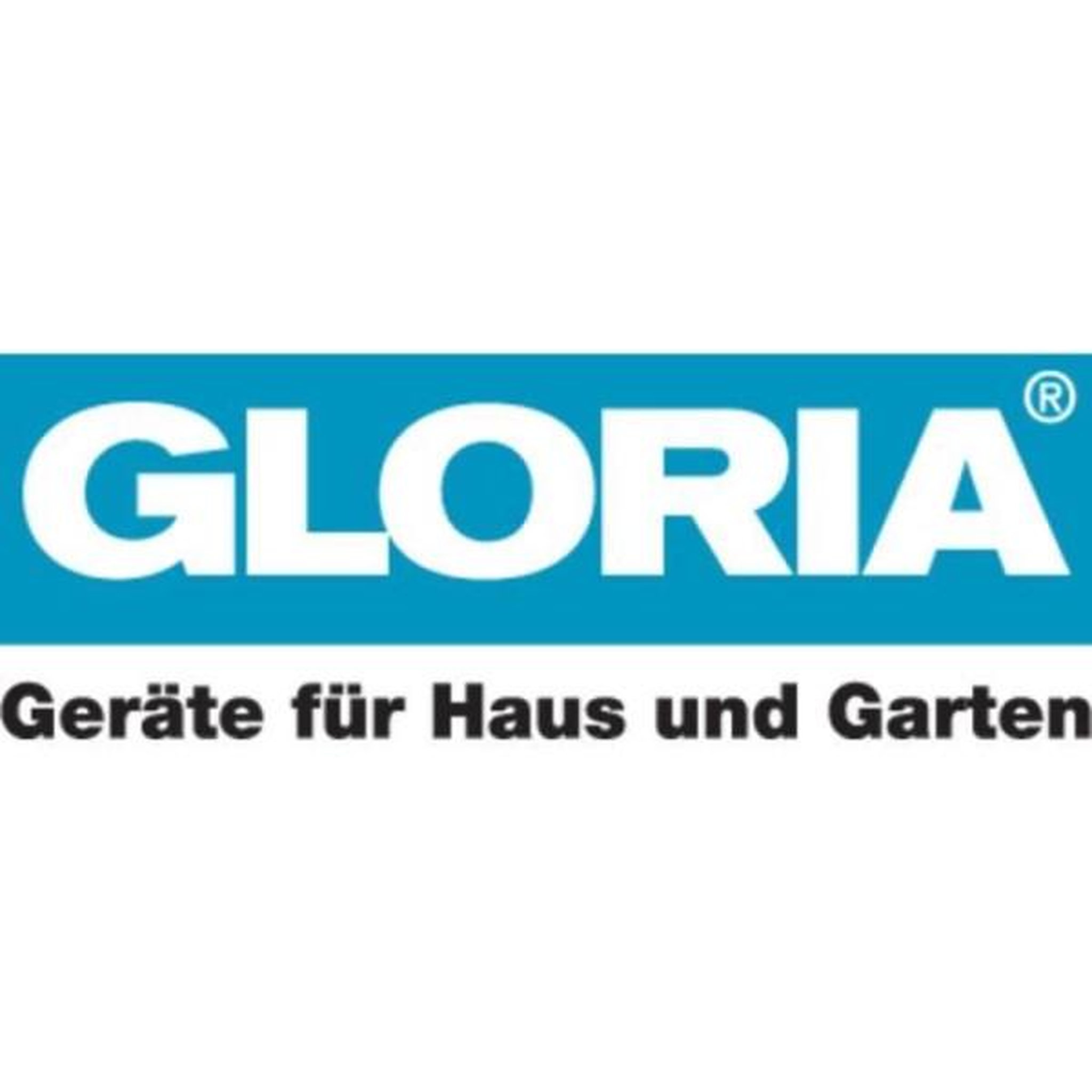 Voir la diapositive 3 : N/A Pulvérisateur a mousse gloria foammaster fm10 flex - 1l - bleu