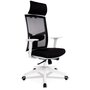 Voir la diapositive 1 : Paris Prix Fauteuil de Bureau Design  Luky  119cm Noir & Blanc
