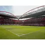 Smartbox Visite du stade de Luz, musée Sport Lisboa e Benfica, écharpe et dîner au Red Snack pour 2 - Coffret Cadeau Sport & Aventure