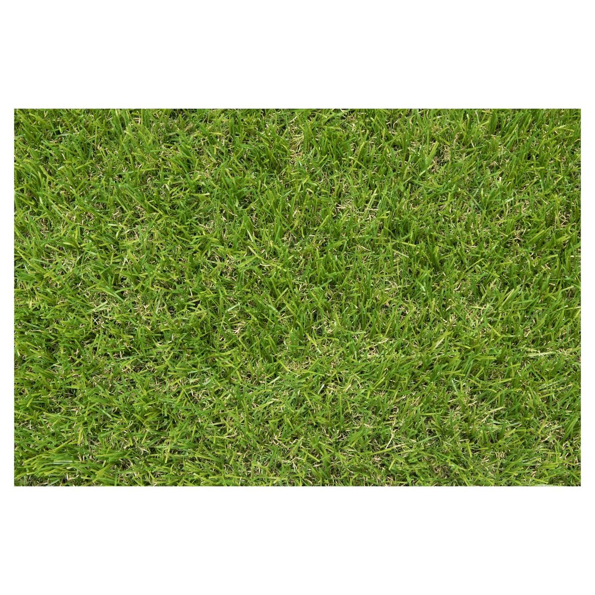 EXELGREEN Gazon artificiel LAWN épaisseur 30mm 2x3m
