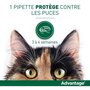  Advantage Solution Antipuce Chat Lapin 1 a 4kg 6 pipettes