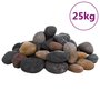 Voir la diapositive 2 : VIDAXL Galets polis 25 kg multicolores 5 8 cm
