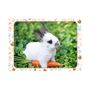 Voir la diapositive 2 : Nathan Puzzle Lapin et Carotte 45 Pièces - Jeu Éducatif pour Enfants