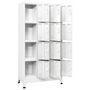Voir la diapositive 3 : VIDAXL Armoire a casier avec 12 compartiments 90x45x180 cm