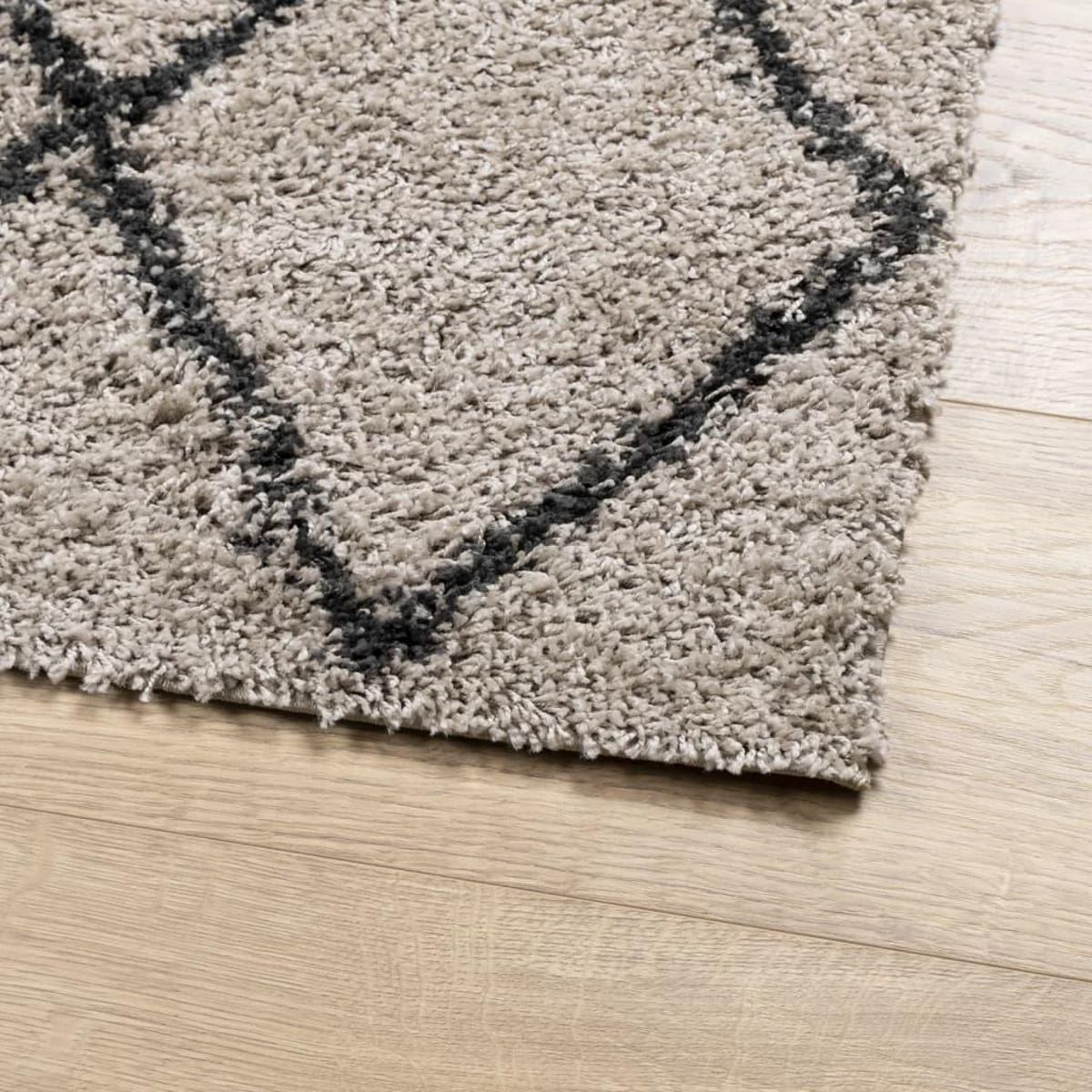 VIDAXL Tapis shaggy a poils longs moderne beige anthracite 100x200 cm