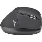 BLUESTORK Souris sans fil rechargeable ERGO MOUSE WIRELESS