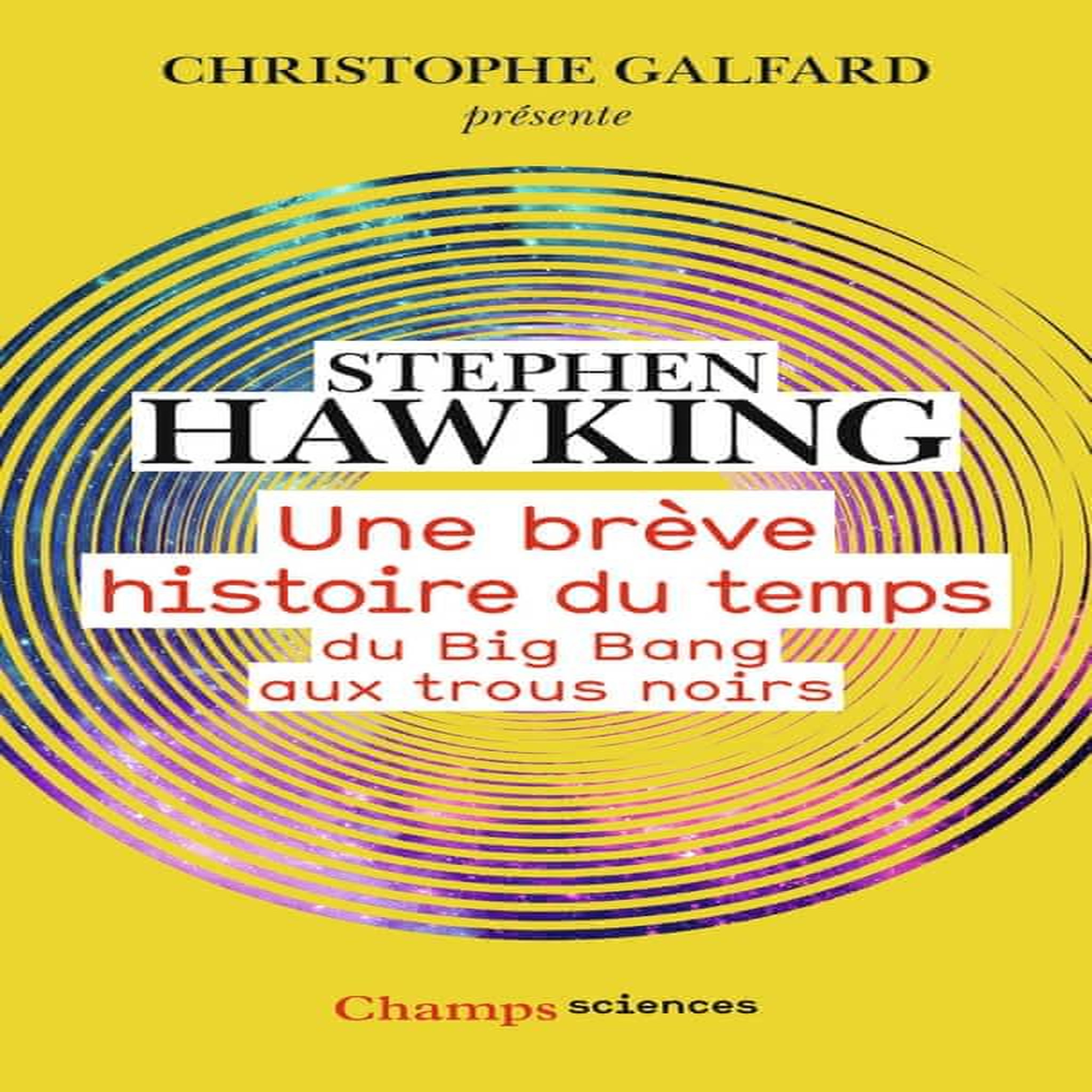 UNE BREVE HISTOIRE DU TEMPS. DU BIG BANG AUX TROUS NOIRS, Hawking Stephen