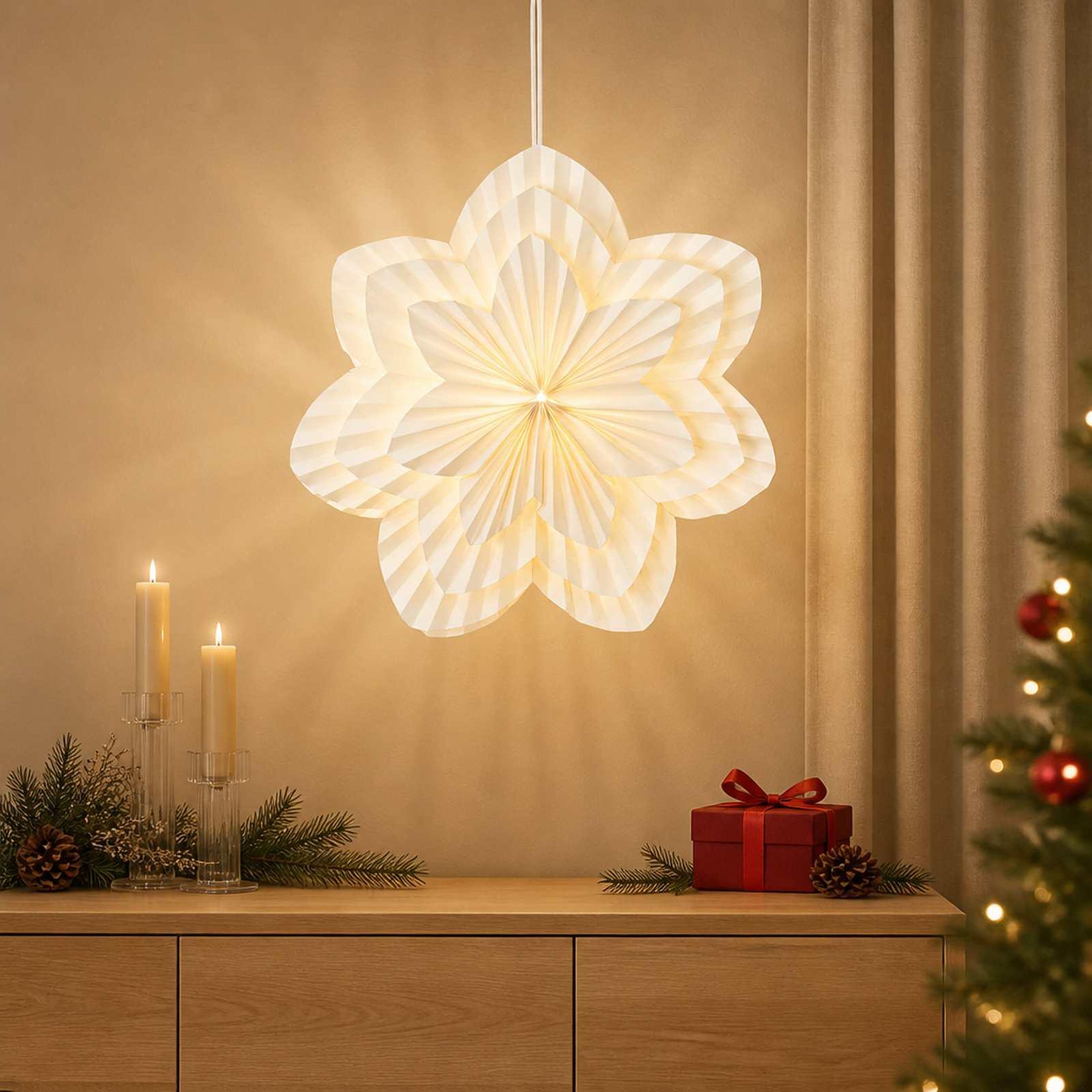 Voir la diapositive 2 : VIDAXL Eclairage de Noël RAAHE 10 LED Blanc chaud 60 x 20 x 60 cm